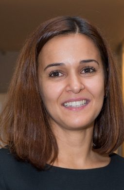 Attachment image #1234